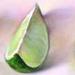 limes Art Thumbnail